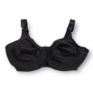 Bali Lace Sheer Desire Embroidery Cups Size 40DD